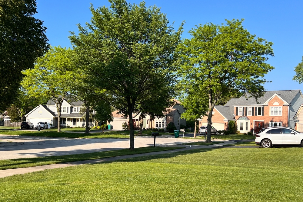 Buffalo,Grove,,Illinois,neighborhood