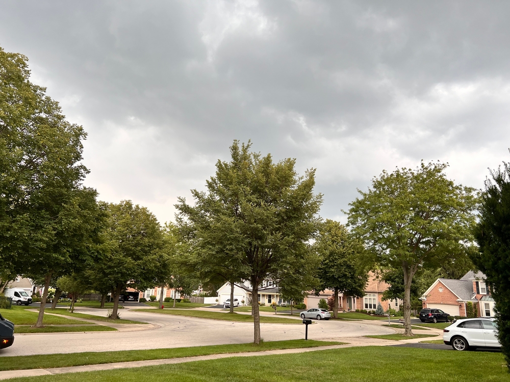 cloudy day in buffalo grove neighborhood