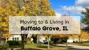 neighborhood in buffalo grove in fall with the words moving to and living in buffalo grove il written on it