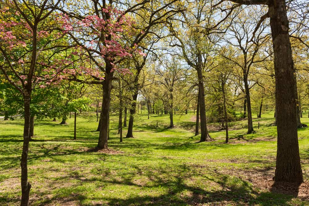 Spring weather in Wentzville, MO