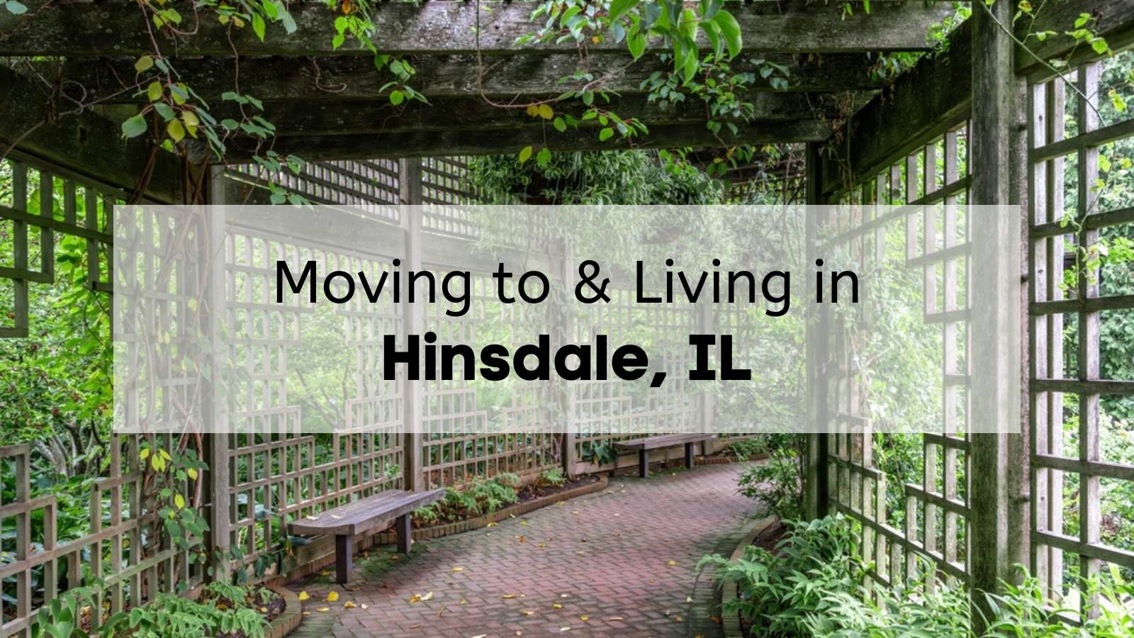 Is Hinsdale IL a Good Place to Live? 🏘 What to Know about Living 