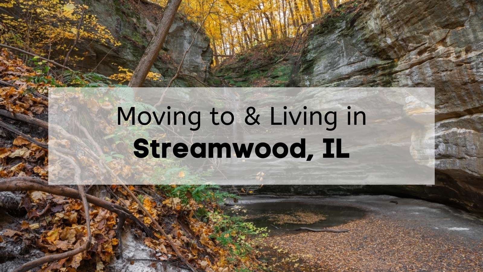 Living in Streamwood has much to offer. See for yourself with our guide.