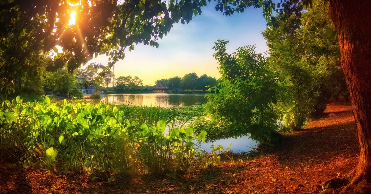 Sunset in Humboldt Park Chicago