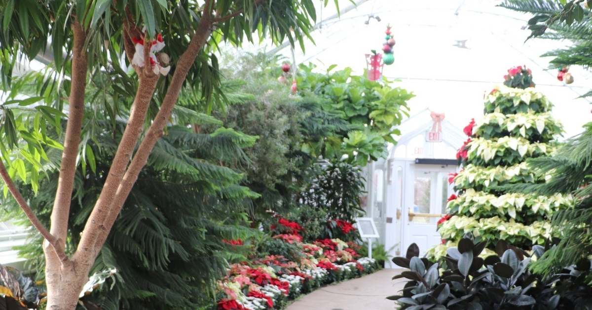 A greenhouse with plants at Wilder Park